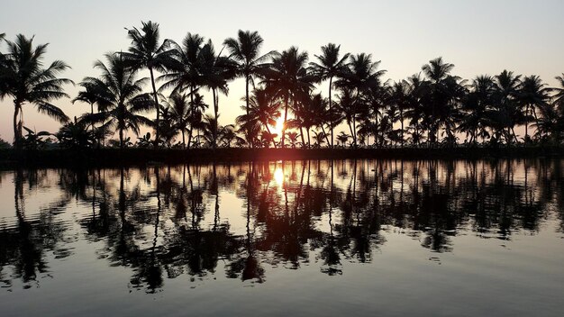 Sunset view