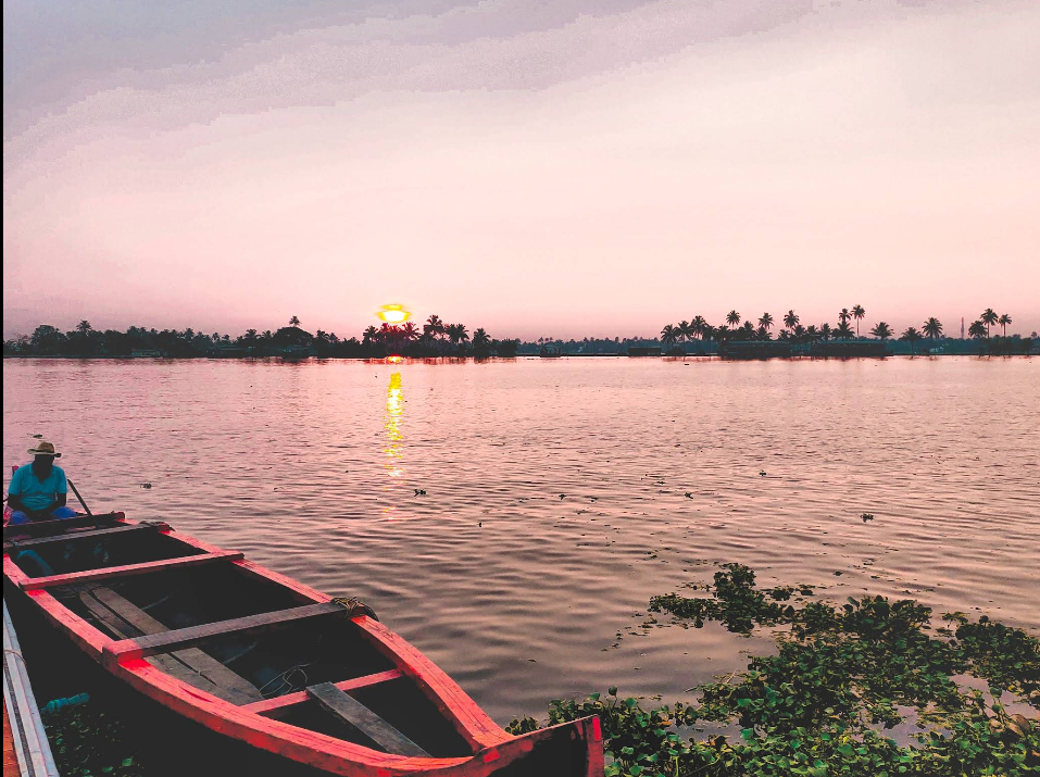 Kayaking through palm trees