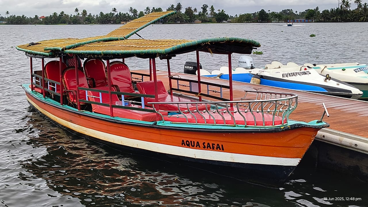Shikara boat in backwaters