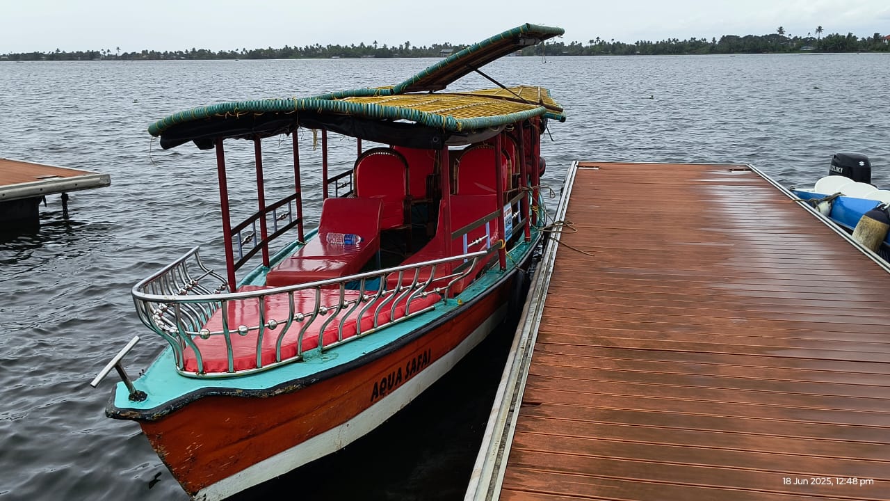 Traditional shikara boat ride