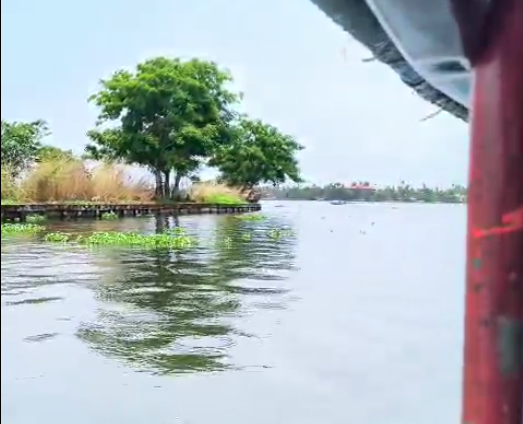 Traditional Shikara boat backwater tour video thumbnail